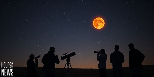 Huge Red Giant Star Finds New Companion: A Potentially Bad Neighbor for Earth