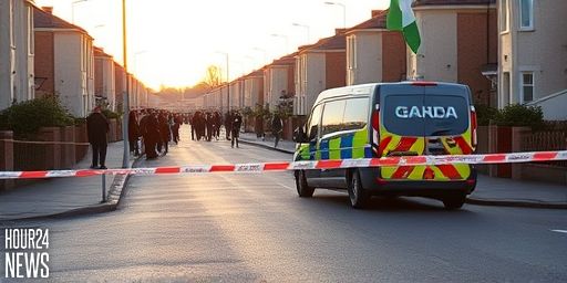 Man Arrested After Fatal Stabbing in Cork: Hollyhill Update