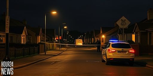 Gardaí Investigate Drive-by Shooting in Rathkeale, Co Limerick