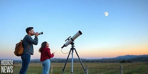 Moon Phase Today: What The Moon Will Look Like On December 29