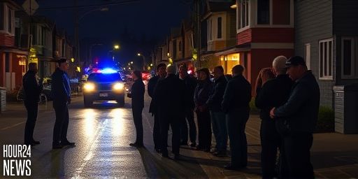 Two in Hospital After Fight in Auckland’s Wiri: Offenders at Large