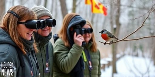 Rare Painted Bunting Spotted in Bayfield, NB: A Christmas Gem for Local Birders