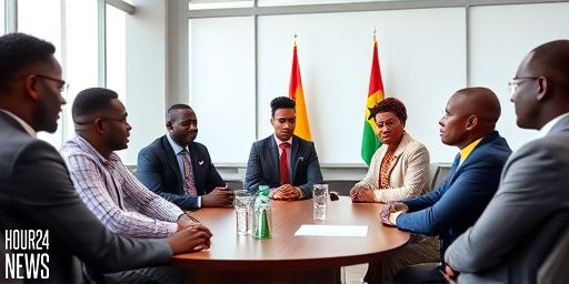 Ghana Presidential Age Debate: Is 30 Too Young for the Top Office?