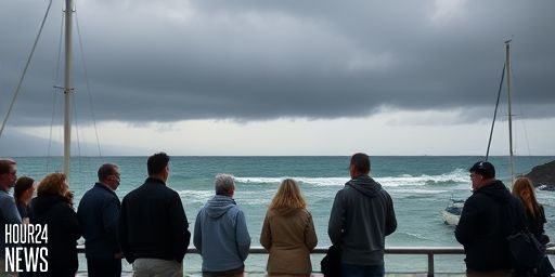Wet, blustery start to week for large parts of the South Island