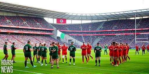 Leinster Edge Munster at Thomond Park: All Blacks Star Shines, Irish Giant Unfazed