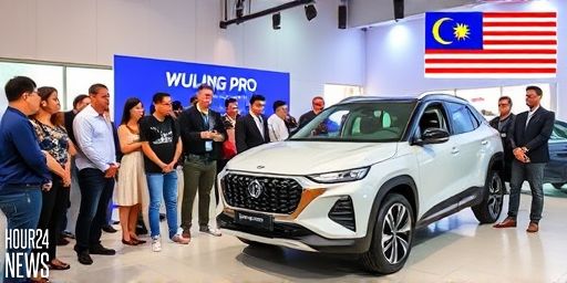Wuling Pro, Max CKD Variants Arrive in Malaysia with 337 km WLTP Range at RM63k