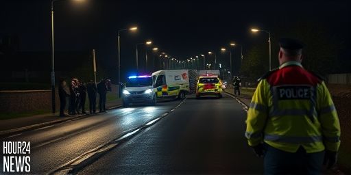 Pedestrian Dies in Co Down as Car Collision Investigated