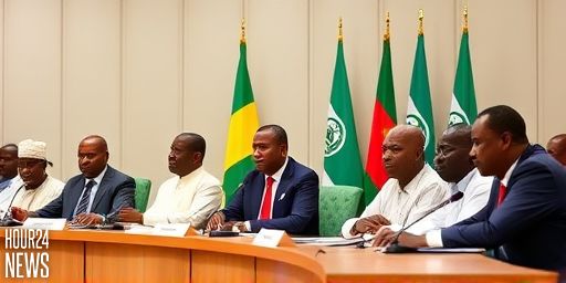 ECOWAS Unanimously Backs John Mahama for AU Chairmanship