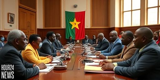 Minority Defends the Constitution—Afenyo-Markin