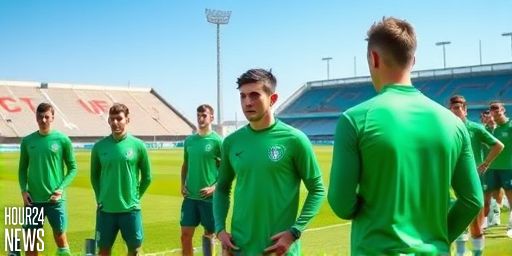 Ireland could net €8.8m from FIFA if they reach the 2026 World Cup