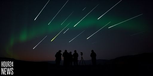 Geminid Meteors Light Up the December Sky: Photo of the Day for December 19, 2025