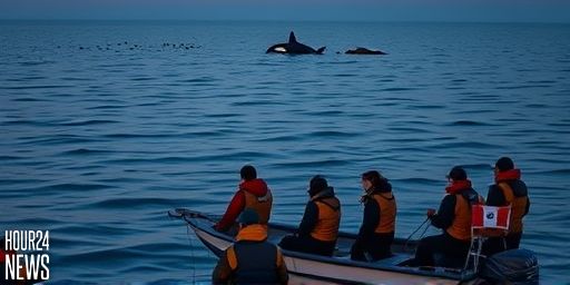 Two Predators Force Great White Sharks Out of Their Habitat