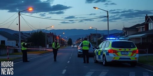 Waikato Christmas road toll rises to three after driver killed