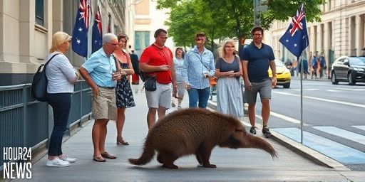 Incredibly Rare Discovery in Aussie Street Sparks Summer Warning: ‘Most People Don’t Know’