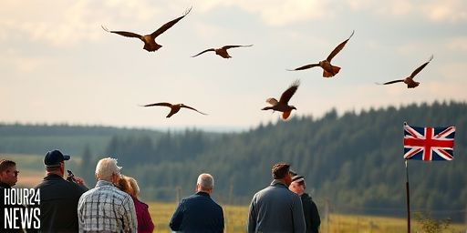 Red kites at risk from wildfires, warns National Trust