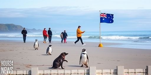 Auckland Owners Urged to Control Dogs as Attacks on Little Blue Penguins Continue