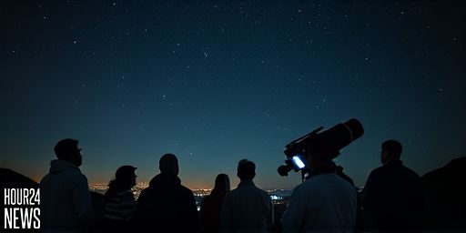 Monster Stars: JWST Unveils Compelling Evidence from the Dawn of the Universe