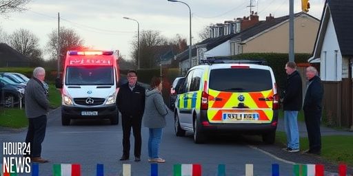 Castleisland crash: Co Kerry woman dies in single-vehicle collision