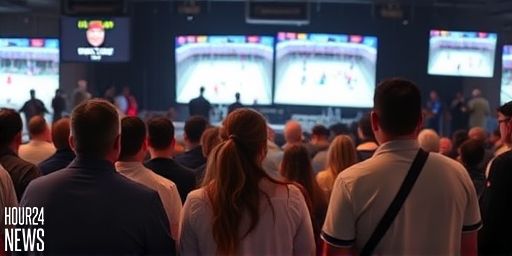 Heated Rivalry: A Scorching Hockey Romance Series Captivating Fans