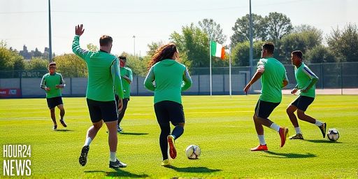 Ireland World Cup 2026: FAI Earnings Boost from FIFA