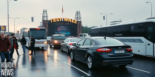 Rhythm and Vines partygoers urged to drive carefully as New Year traffic swells