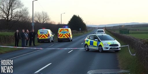 Tragic death after single-vehicle crash in Co Kerry leaves a woman in her 70s