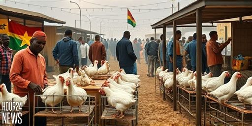 Livestock Traders Talk 2025 Christmas Sales at Avenor Malata Market