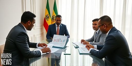 OSC Shutdown: Addis Ababa Forces Southern Cooperation Wind-Down