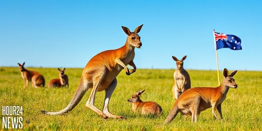 Kangaroos Adjust Posture to Conserve Energy While Hopping