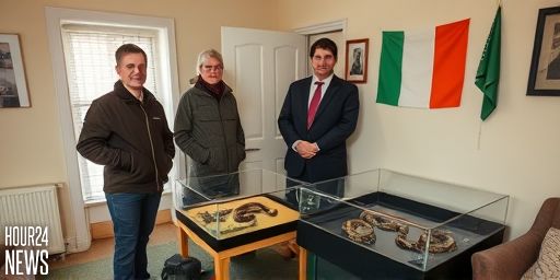 Rescuers Retrieve Two Highly Venomous Snakes From a Dublin Tenancy