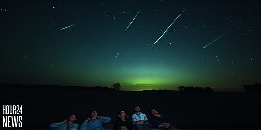 Geminid Meteors Light Up the Night: Photo of the Day for December 19, 2025