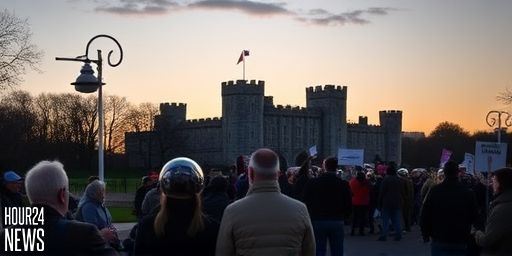 What happened next after Led By Donkeys projected Trump and Epstein onto Windsor Castle