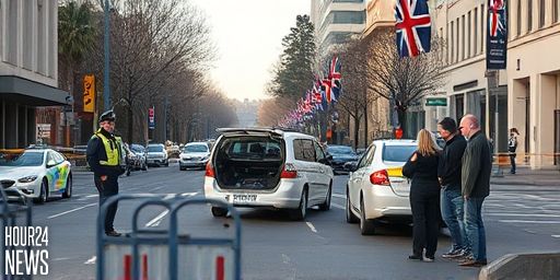 Shakira Adams sentenced to 14 years for Canberra crash killing Matthew McLuckie
