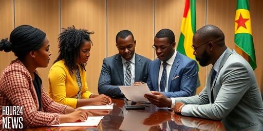 Should Ghana Lower Its Presidential Age? Experts Debate 30-Year-Old Leaders