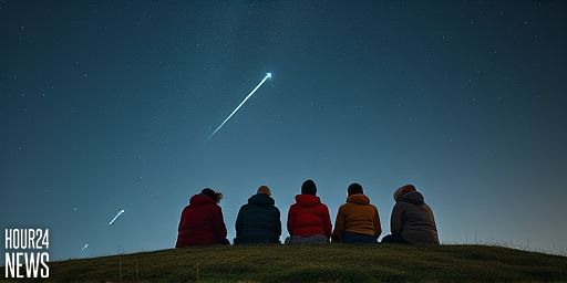 December’s Overlooked Ursids Meteor Shower: What to Expect Next Week