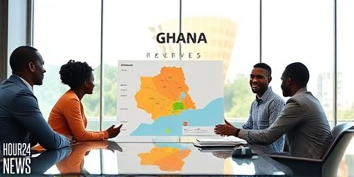 Bright Simons Questions Government’s Good Faith in Ghana’s Lithium Deal