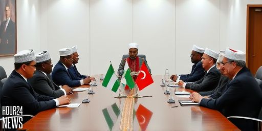 Insecurity: Nigeria Seeks Turkey’s Help to Tackle Challenges