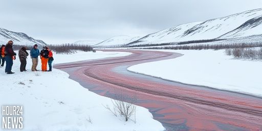 Rusting Rivers: How Arctic Warming Is Transforming Rivers with Iron Fe from Permafrost