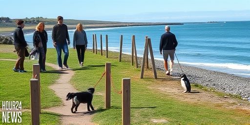 Auckland Dog Owners Urged to Control Pets After Attacks on Little Blue Penguins