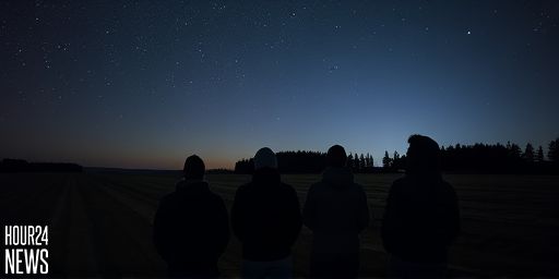 Ursid meteor shower 2025: When and where to see ‘shooting stars’ on the longest night of the year