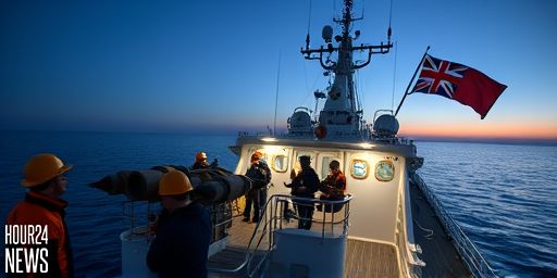 Scientists Uncover Giant Structure Deep Beneath Bermuda: A Geological Breakthrough