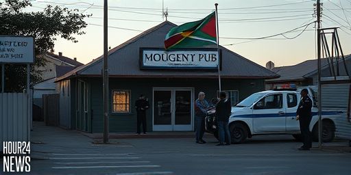 Nine dead, ten wounded in shooting at South African pub in Bekkersdal