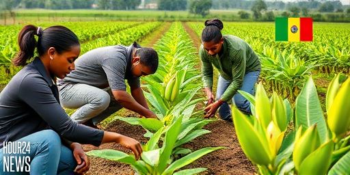 Mwanje Vicent: The Young Agripreneur Redefining Coffee and Banana Farming in Uganda