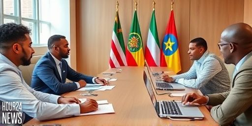 Diaspora Engagement Strengthens Ethiopia’s National Dialogue Process, EDS Says