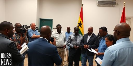 Ken Ofori-Atta Immigration Status: NPP’s Ahiagbah Responds to ICE Reports