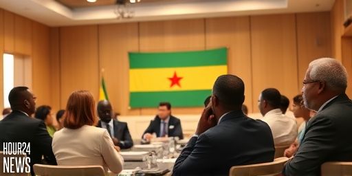 NPP Primaries: 211,849 Delegates Vote Saturday