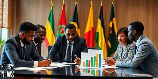 IMF Backstops Sub-Saharan Africa with About $70 Billion During COVID-19, Official Confirms