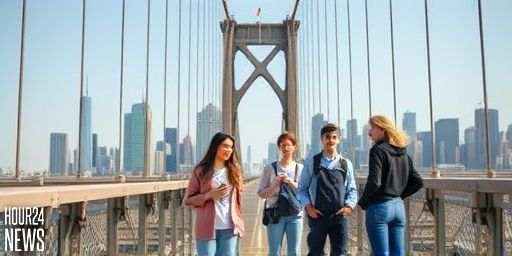 NZTA Warns After Video Shows Young Men Jumping From Auckland Harbour Bridge
