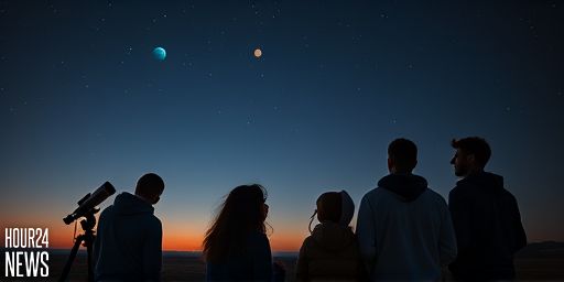 Mars and Venus Converge Over the Beehive: A Southern Hemisphere Night-Sky Treat