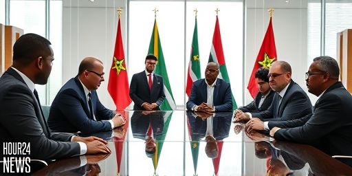 South Africa bids to co-host Afcon 2028 with Botswana and Namibia